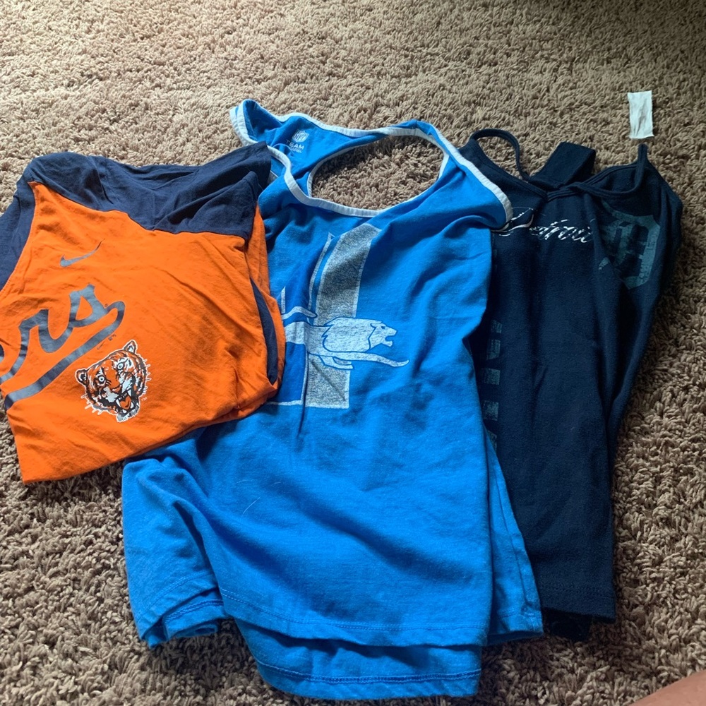 Detroit Lions/Tigers Set